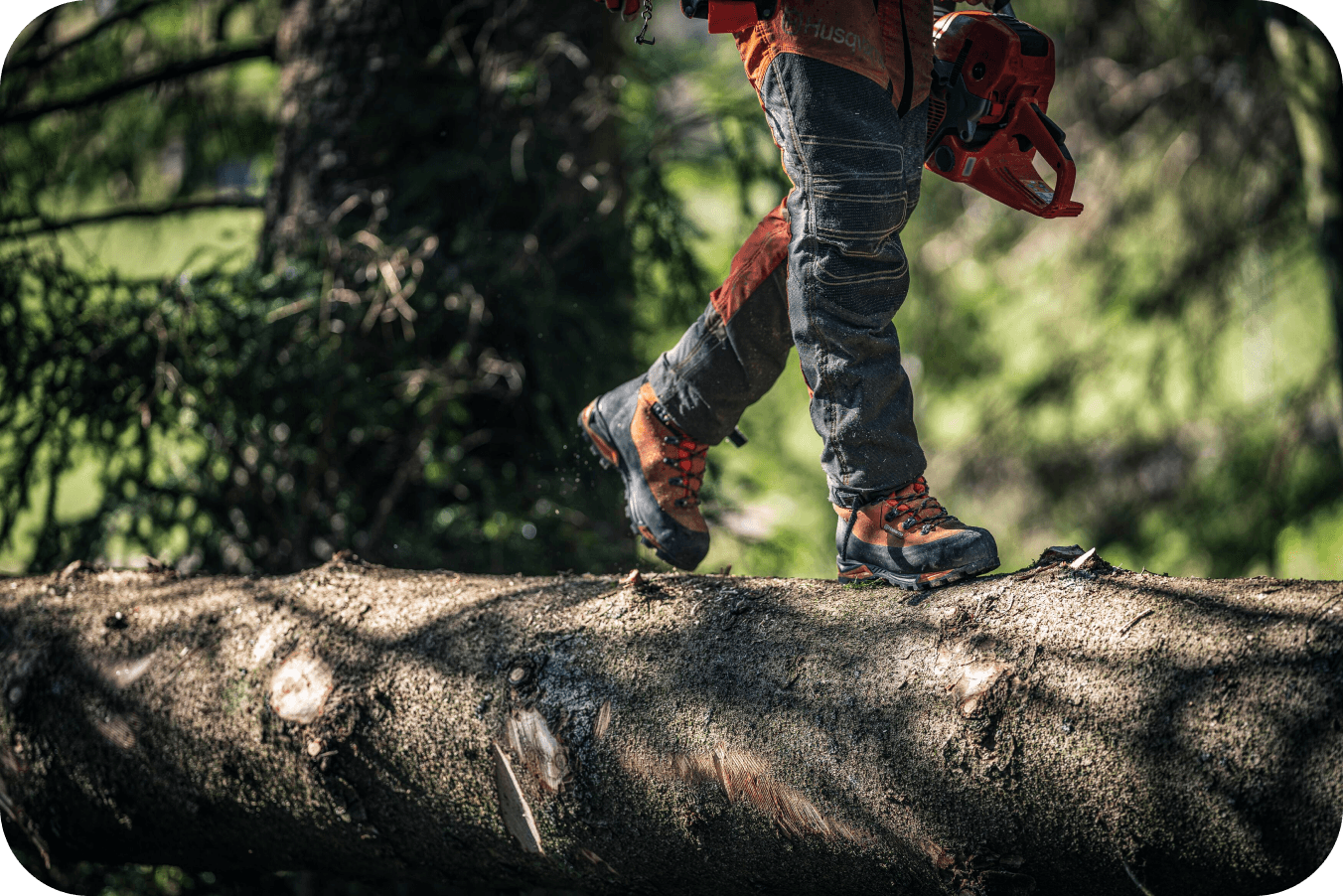 Man on tree trunk